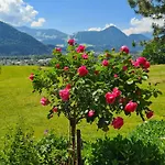 Apartman Christoph *