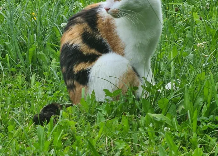 Apartment Christoph *