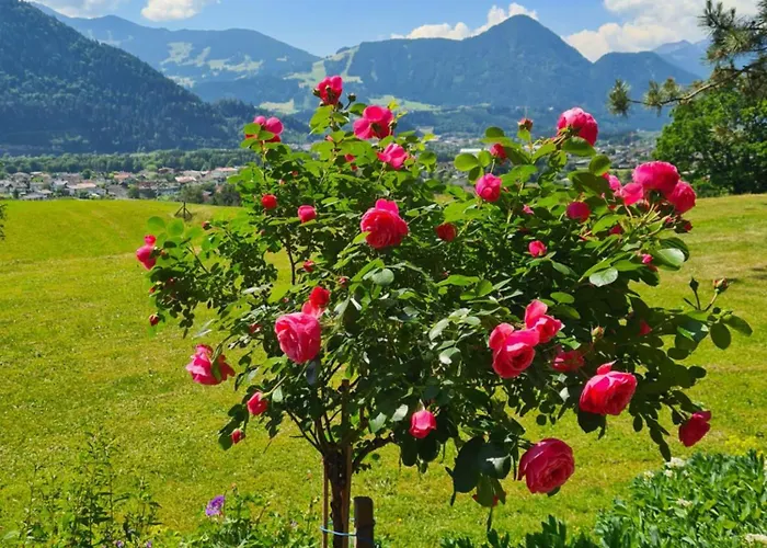 Apartamento Christoph *