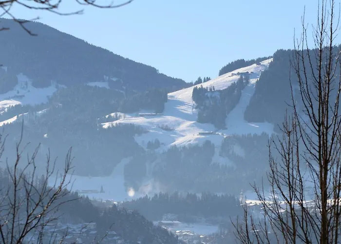 Lejlighed Christoph Voldopp